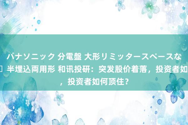 パナソニック 分電盤 大形リミッタースペースなし 露出・半埋込両用形 和讯投研：突发股价着落，投资者如何顶住？