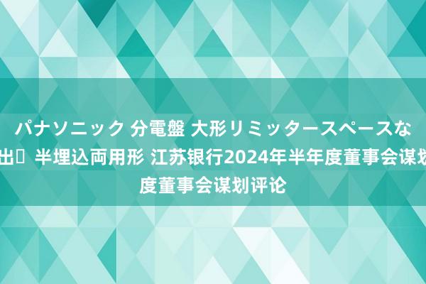 パナソニック 分電盤 大形リミッタースペースなし 露出・半埋込両用形 江苏银行2024年半年度董事会谋划评论