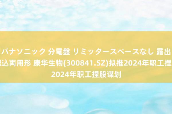 パナソニック 分電盤 リミッタースペースなし 露出・半埋込両用形 康华生物(300841.SZ)拟推2024年职工捏股谋划