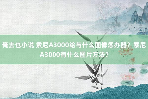 俺去也小说 索尼A3000给与什么图像惩办器？索尼A3000有什么图片方法？